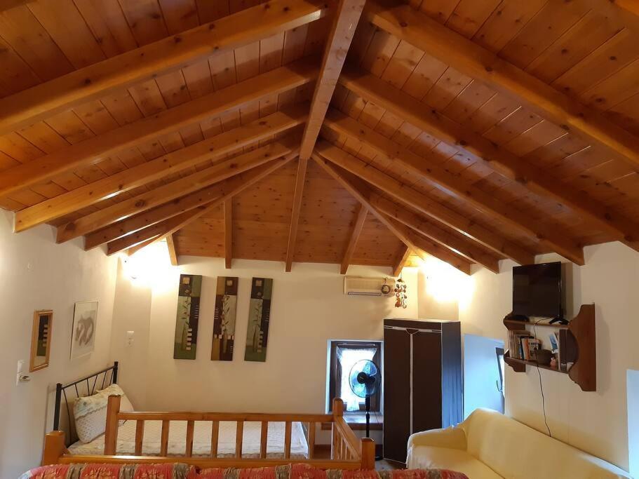 Kouros Villa! Paltsi Pilion Екстер'єр фото