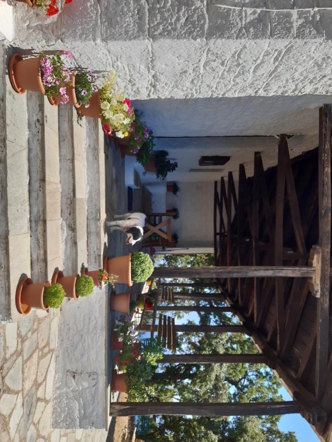 Kouros Villa! Paltsi Pilion Екстер'єр фото