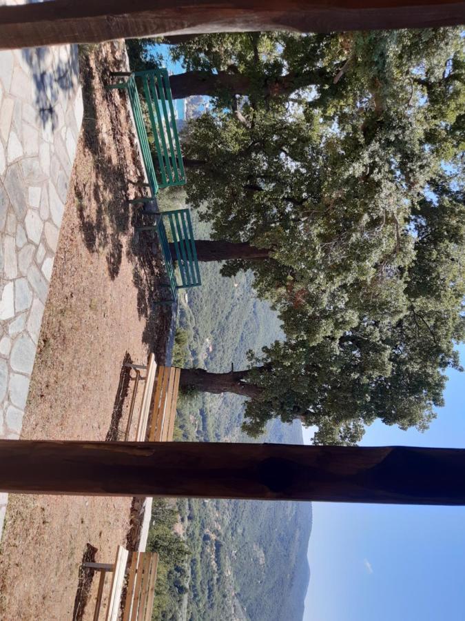 Kouros Villa! Paltsi Pilion Екстер'єр фото